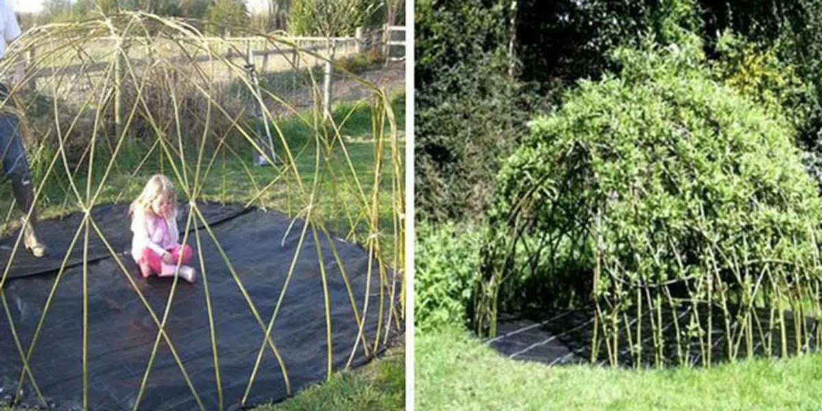Comment construire une cabane en bambou