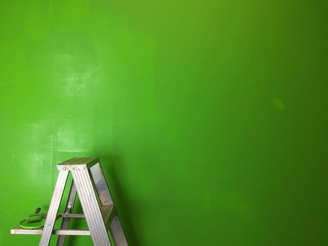 Le vert à l’honneur pour la décoration de votre maison !