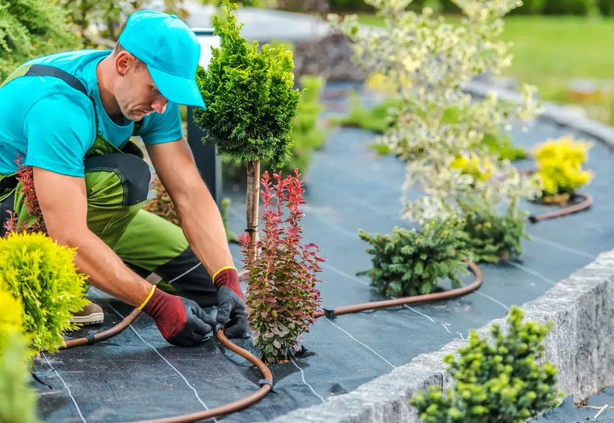 Jardin : que préparer en au printemps 2022