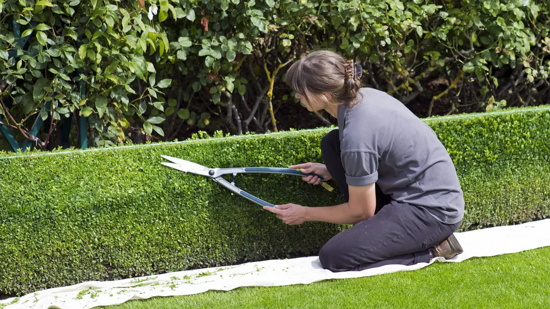 Astuces pour bien aménager votre jardin