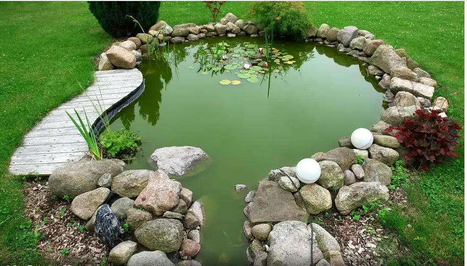 Comment aménager un bassin dans son jardin ?