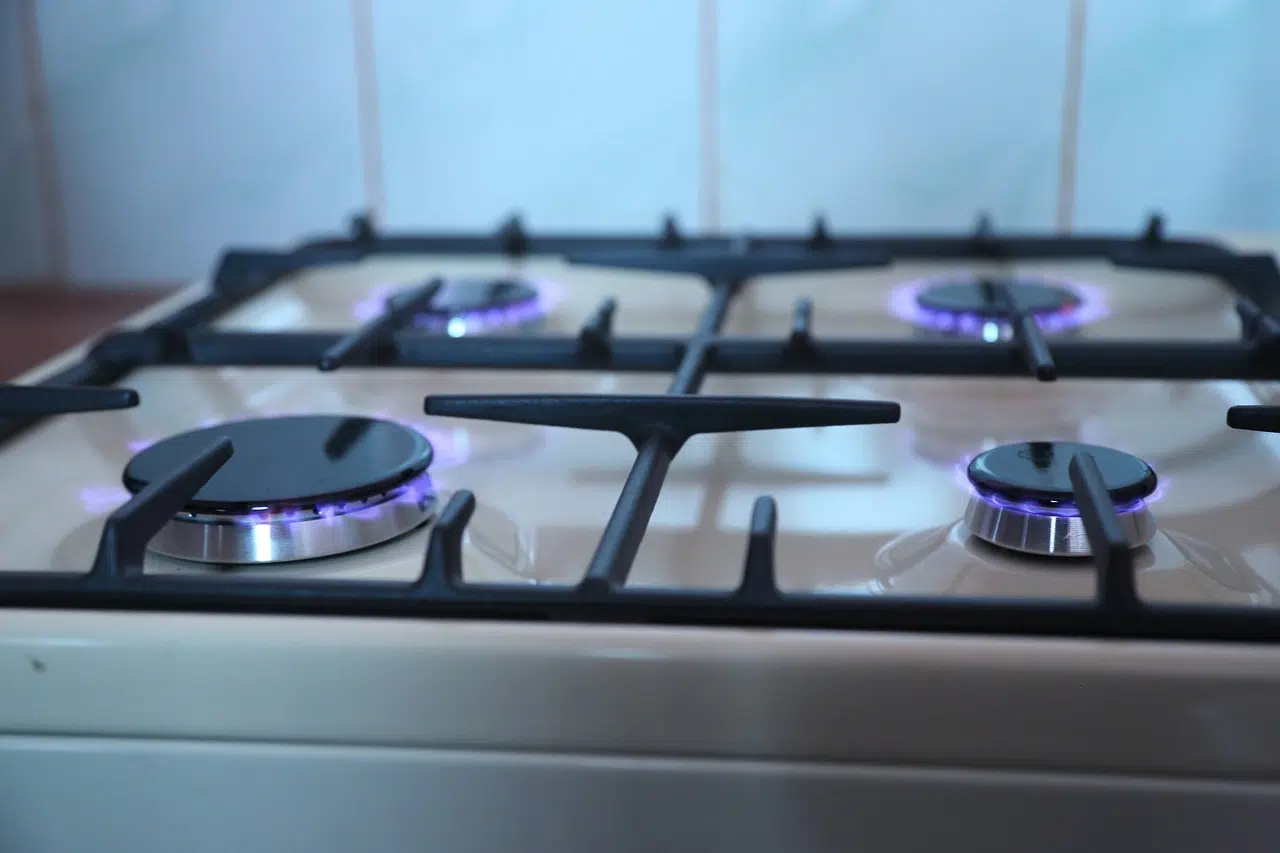 Pièces détachées pour cuisinière électrique