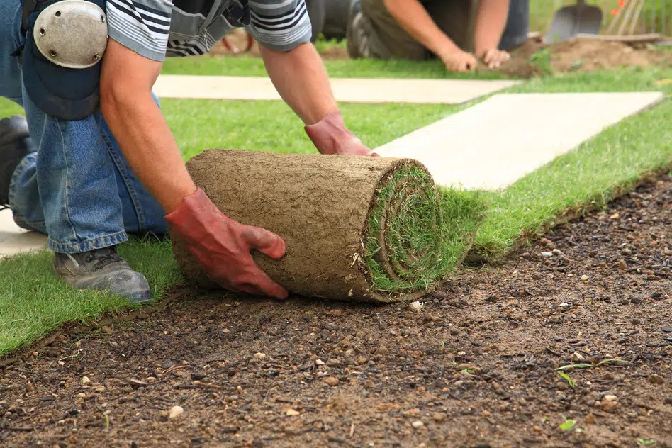 Quel est le rôle d’un jardinier paysagiste ?